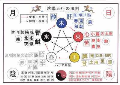 経絡五行理論 経絡ライン治療鑑別早見表 鍼灸による治療法の紹介 - 鍼灸院・整体 はり・きゅう 快気院（十勝